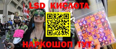 гашик Гусев