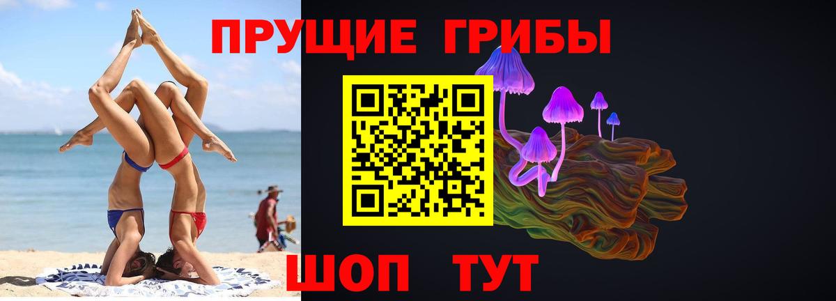 Крымск  Псилоцибиновые грибы мухоморы  Вход с VPN 